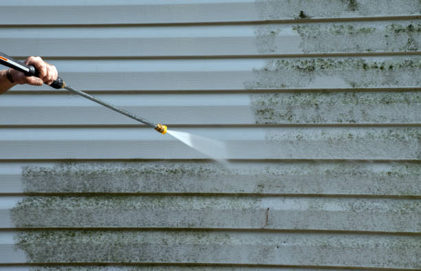Best Home Mold Removal  in Falls City, NE