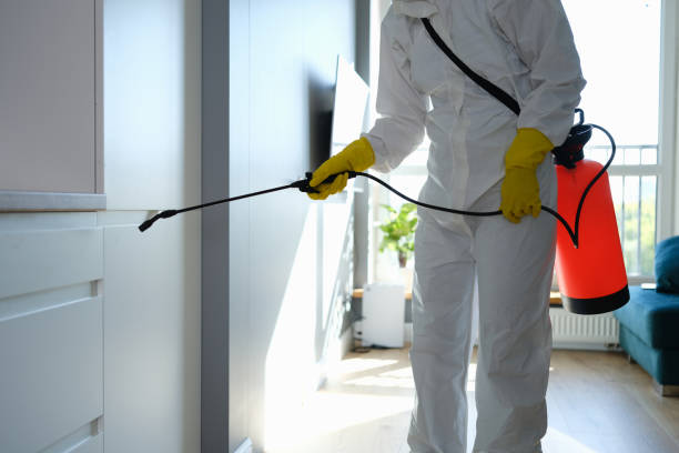 Best Attic Mold Removal  in Falls City, NE