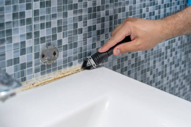 Best Mold Testing and Removal  in Falls City, NE
