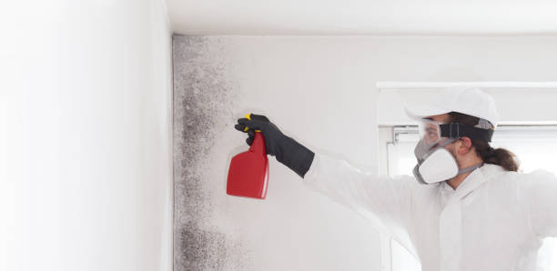 Best Emergency Mold Removal  in Falls City, NE